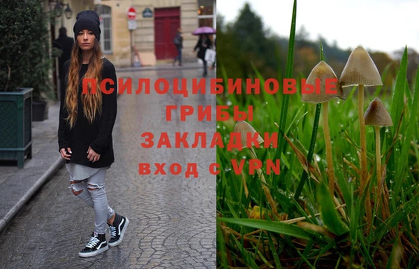 дмт Гусиноозёрск