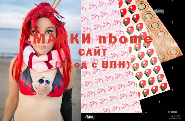 стаф Волосово