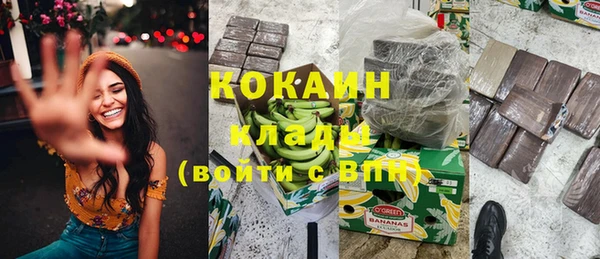 стаф Волосово