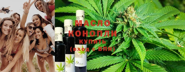 трава Инта
