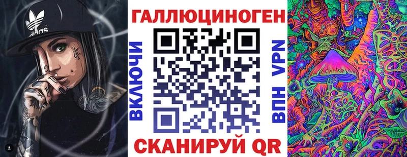 Псилоцибиновые грибы Psilocybine cubensis Дедовск