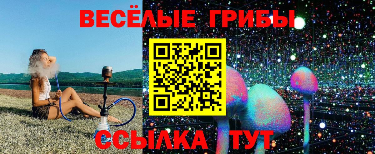 как найти закладки  Псилоцибиновые грибы мицелий  Вход с VPN  Дедовск 