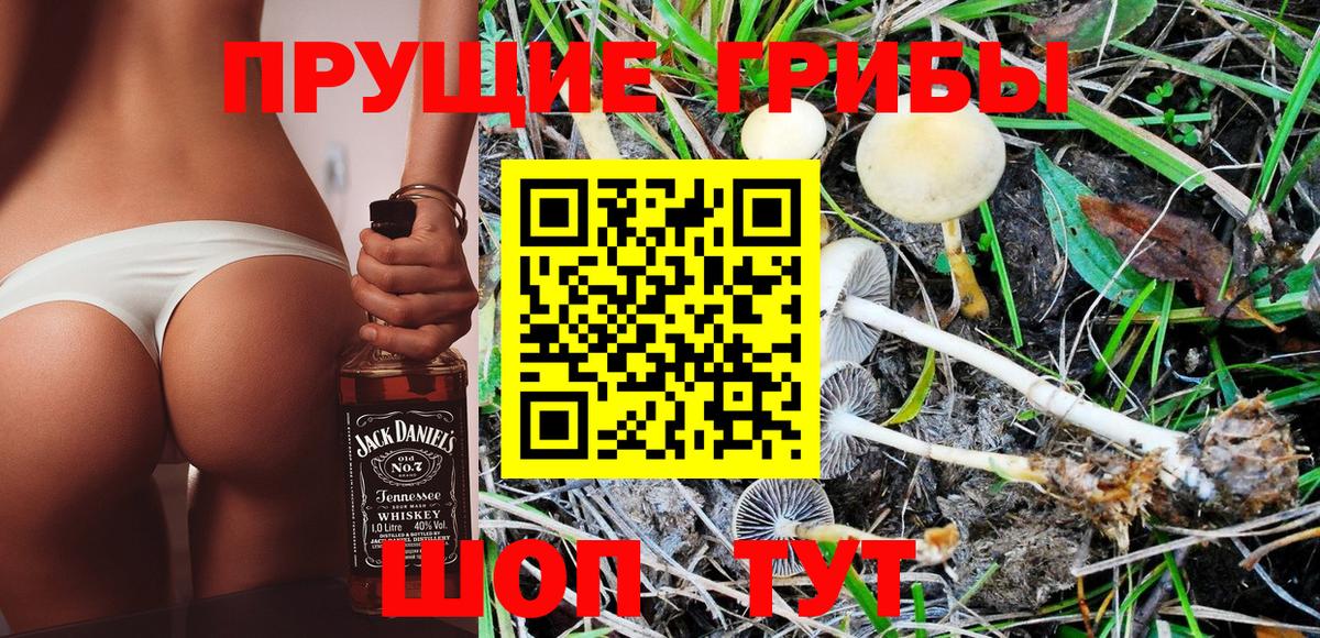 Галлюциногенные грибы мухоморы  Псилоцибиновые грибы Psilocybine cubensis  Дедовск 