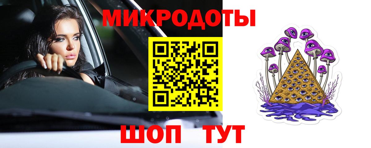 Галлюциногенные грибы Psilocybine cubensis Дедовск