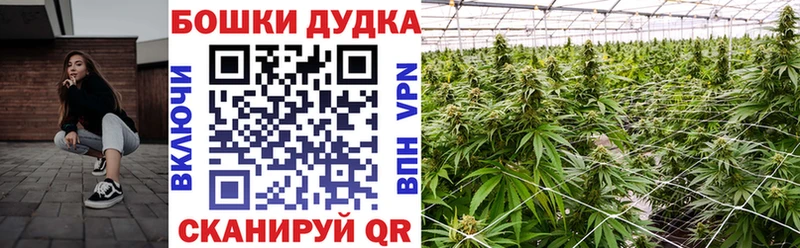 даркнет сайт  Дедовск  нарко площадка как зайти  Бошки марихуана OG Kush 